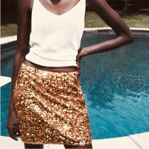 ZARA NWT Sequined Mini-Skirt Side Zip Fully Lined … Go Legs! Let’s Party!
